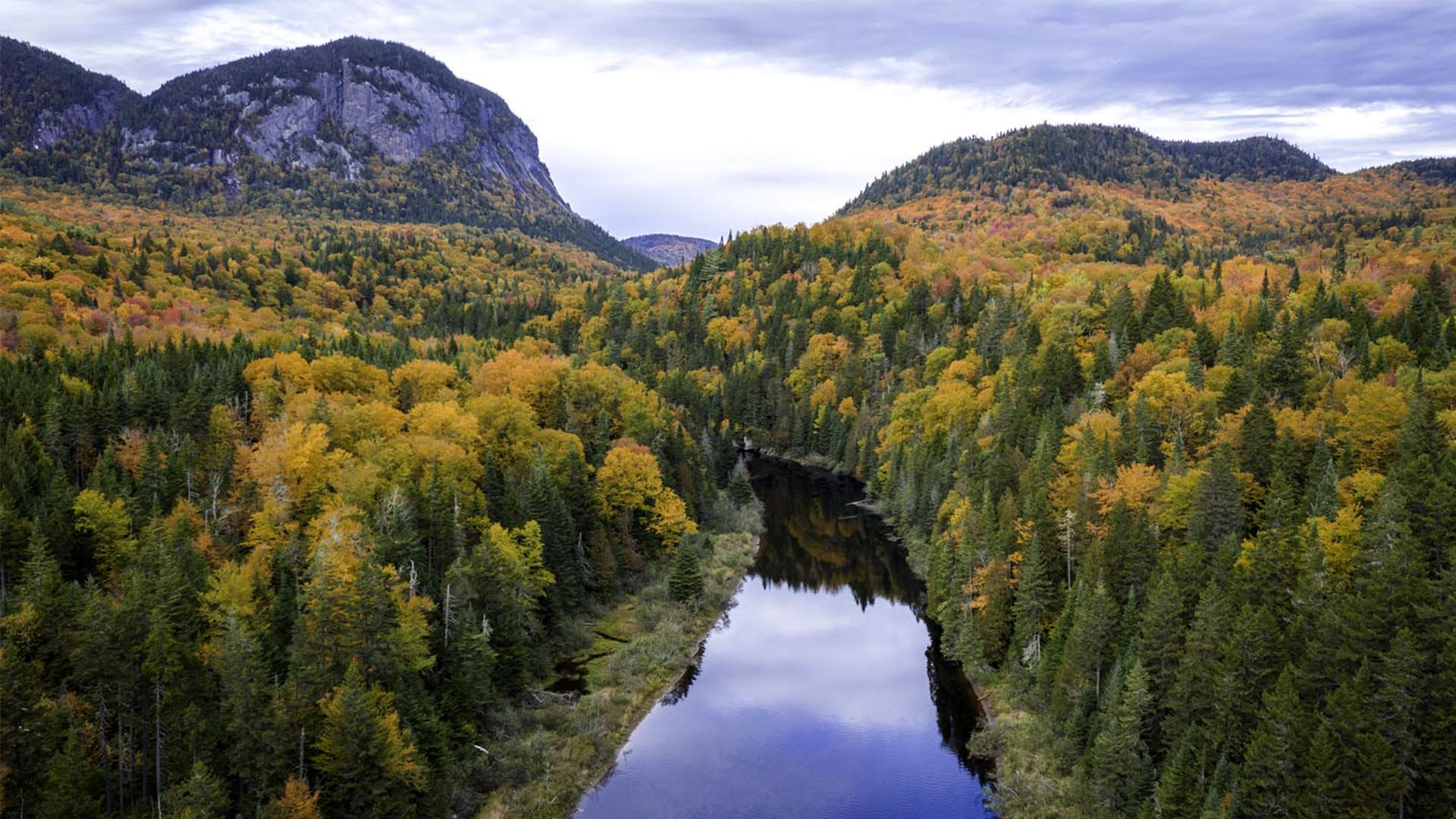River running through the middle of a forest with mountains in the background