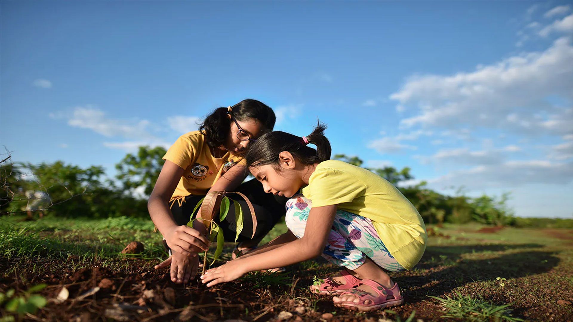 Two children planting a plant in the ground