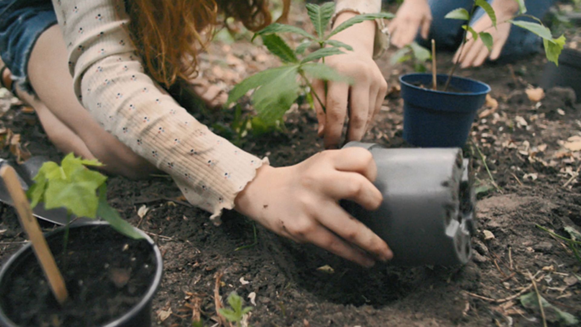 Two young children with mud on their hands, kneeling on the ground and planting seedlings into the earth from plastic pots.