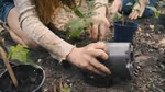 Two young children with mud on their hands, kneeling on the ground and planting seedlings into the earth from plastic pots.