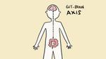 Gut - Brain Axis
