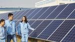 Unilever employees walking next to solar panels.