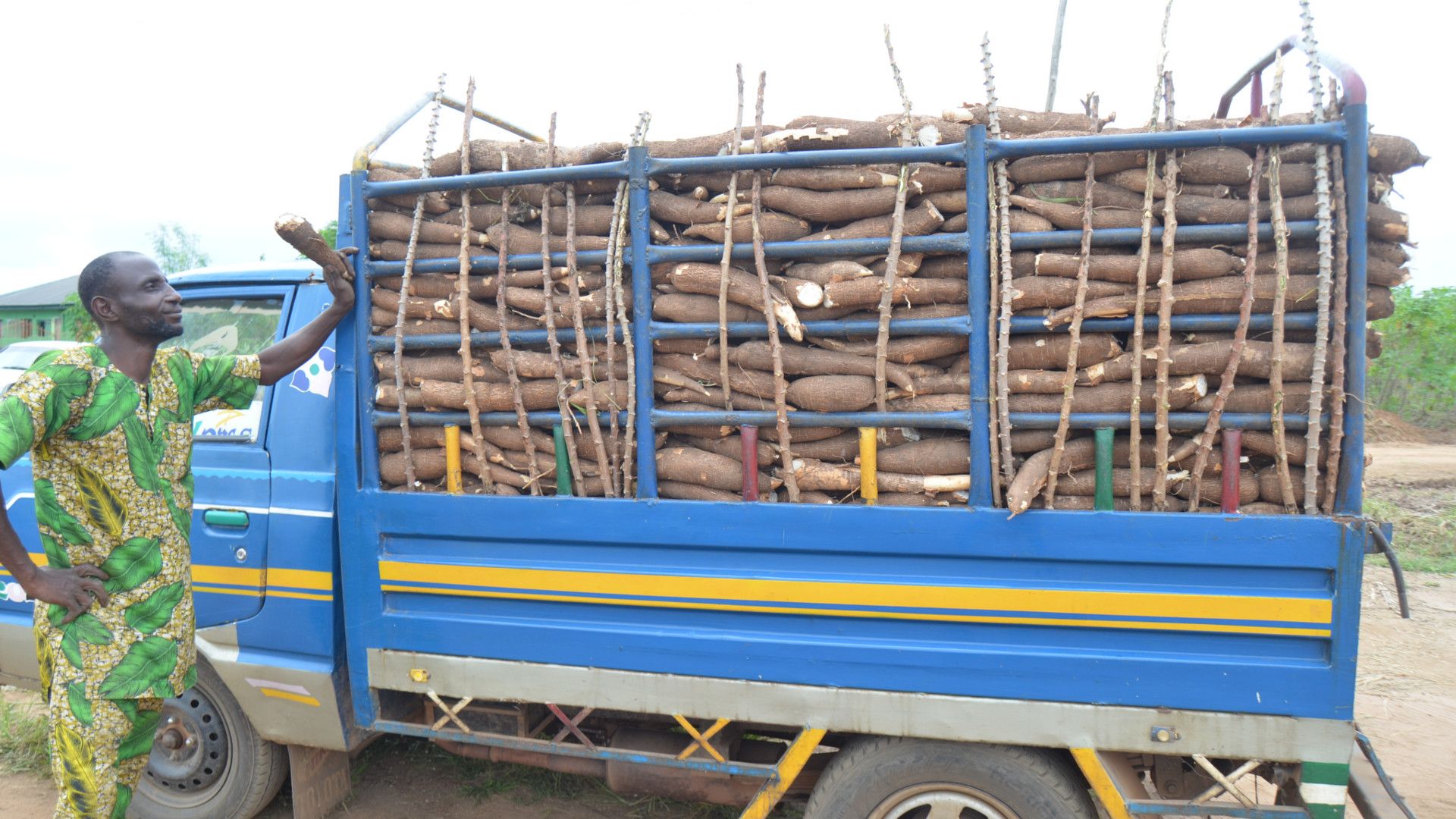 A with locally grown cassava to be used in Closeup and Pepsodent toothpaste at Unilever’s factory in Nigeria.