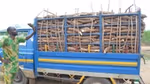 A with locally grown cassava to be used in Closeup and Pepsodent toothpaste at Unilever’s factory in Nigeria.