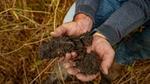 A farmer’s hands are shown holding rich-looking soil with plentiful earth worms.