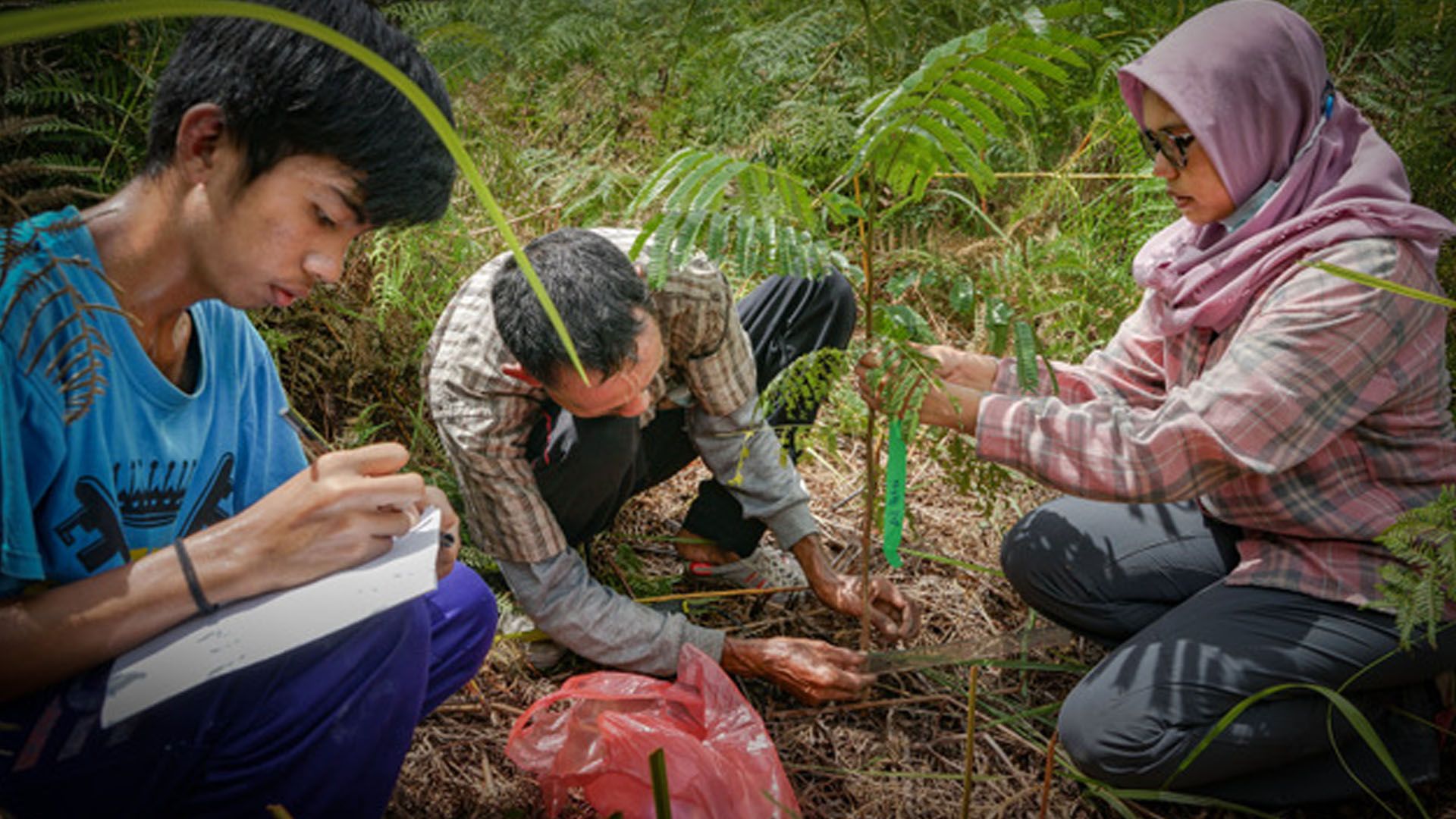 Three people working in the forest planting trees