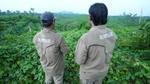 Two men looking out across a field in Asia