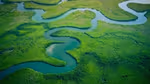 An aerial view of a green forest landscape with winding rivers.