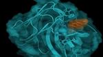 Illustration of an enzyme