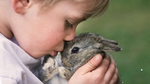 A little boy kissing a rabbit on the nose. The image is from Persil's Dirt is Good/Use science not animals campaign.