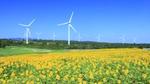 A wide shot of a number of windmills