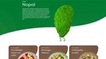 Nopal an edible cactus that has become one of the most searched-for ingredients on the site