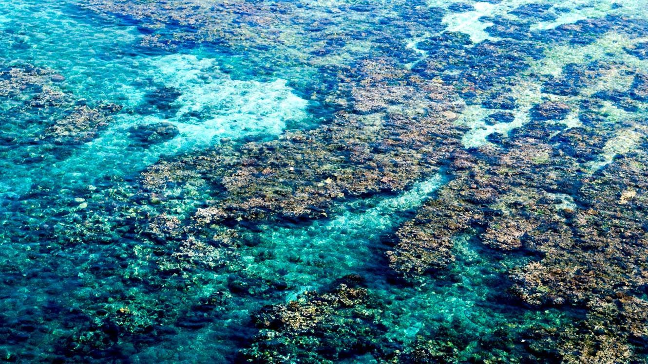 Rock pools