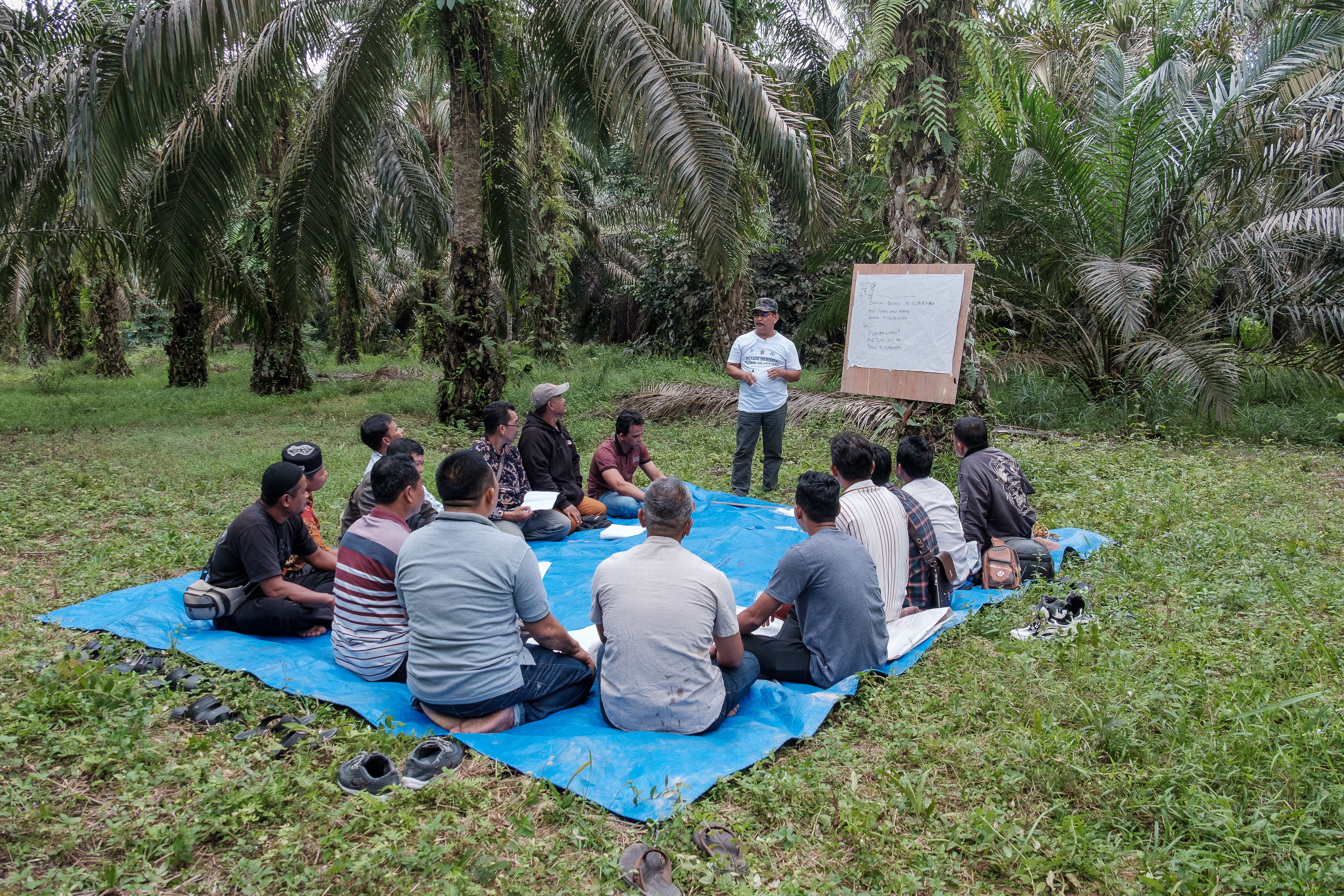 A photograph of a group of people seated in a circle on a blue tarpaulin sheet surrounded by palm trees. A facilitator is conducting a training session.