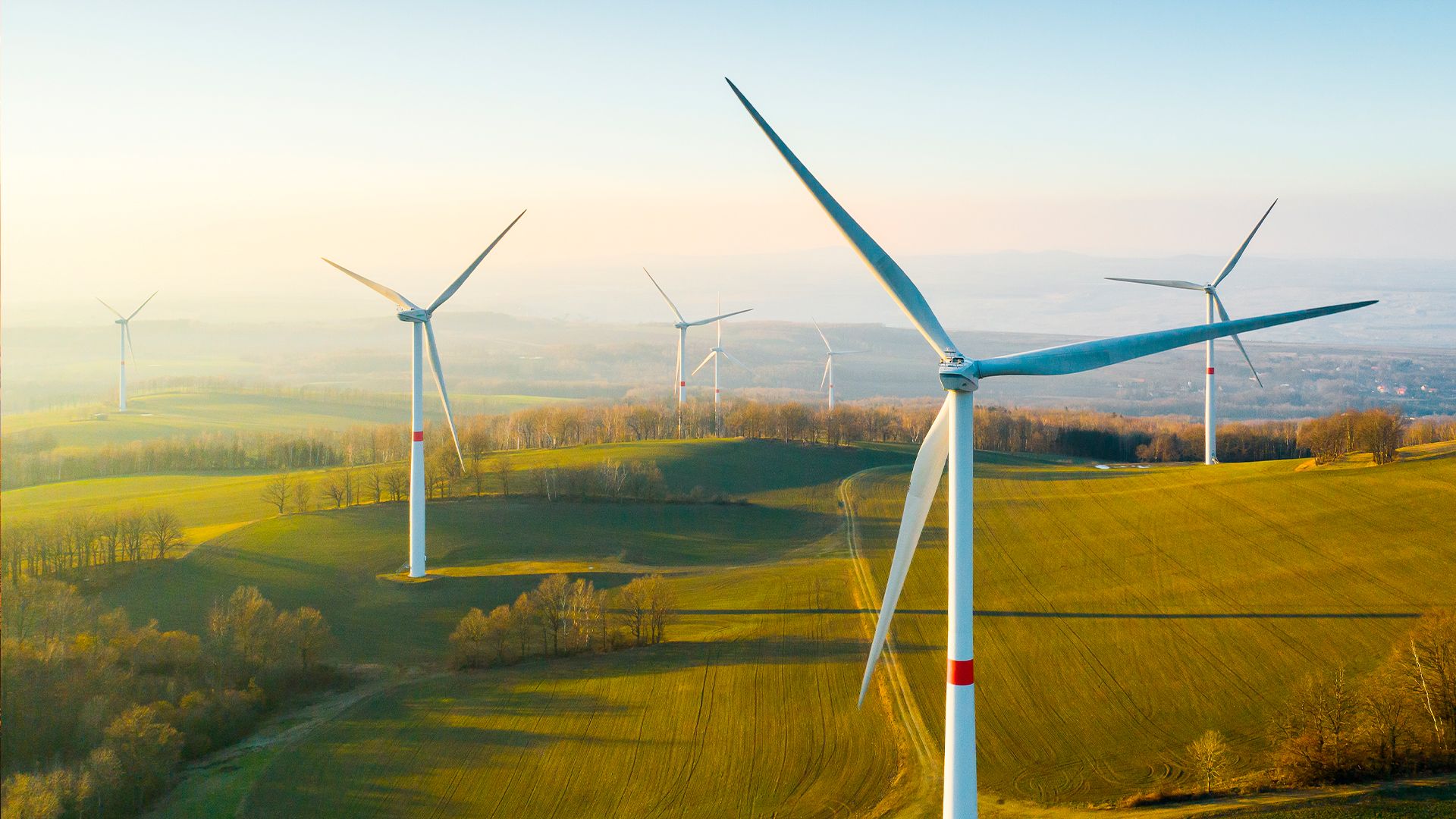 Wind turbines generating renewable energy.