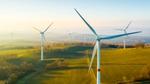 Wind turbines generating renewable energy.