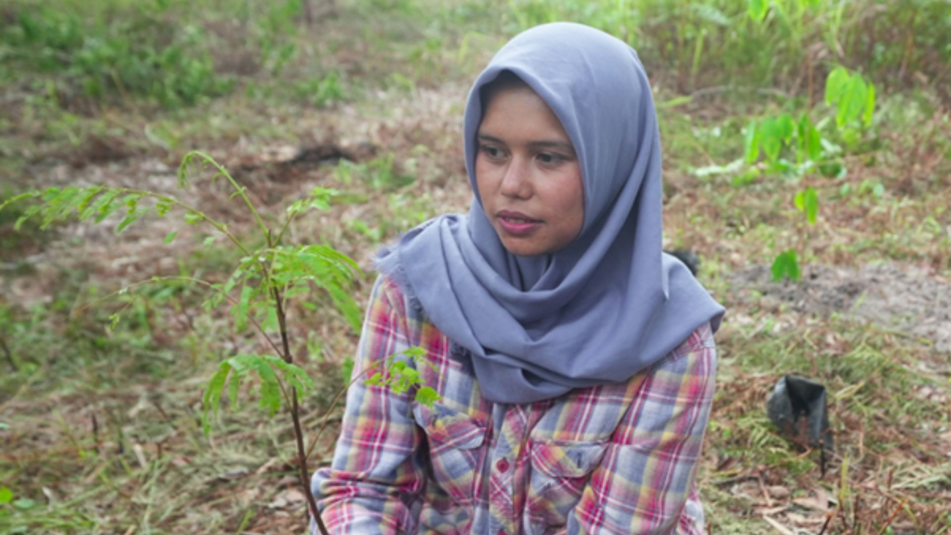 A photograph of a young woman in a headdress kneeling to plant the sapling in her hands, as part of community restoration project in Central Kalimantan, Indonesia.