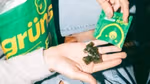 Green gummy supplements resting in an open hand, with more gummies being poured from a small Grüns packet; a larger Grüns pouch is also visible.