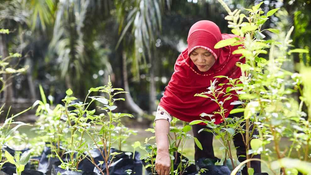 A farmer in a field