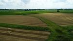 An agricultural field under a cloudy sky.