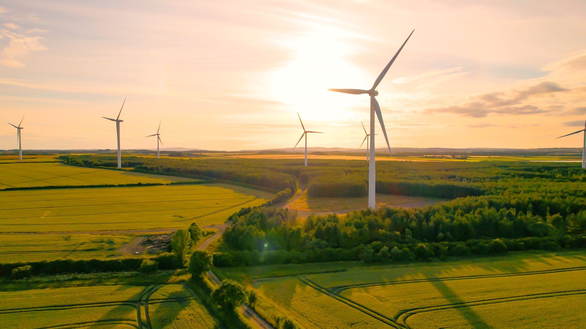 Windturbines located in a large grassland landscape with the sun shining.