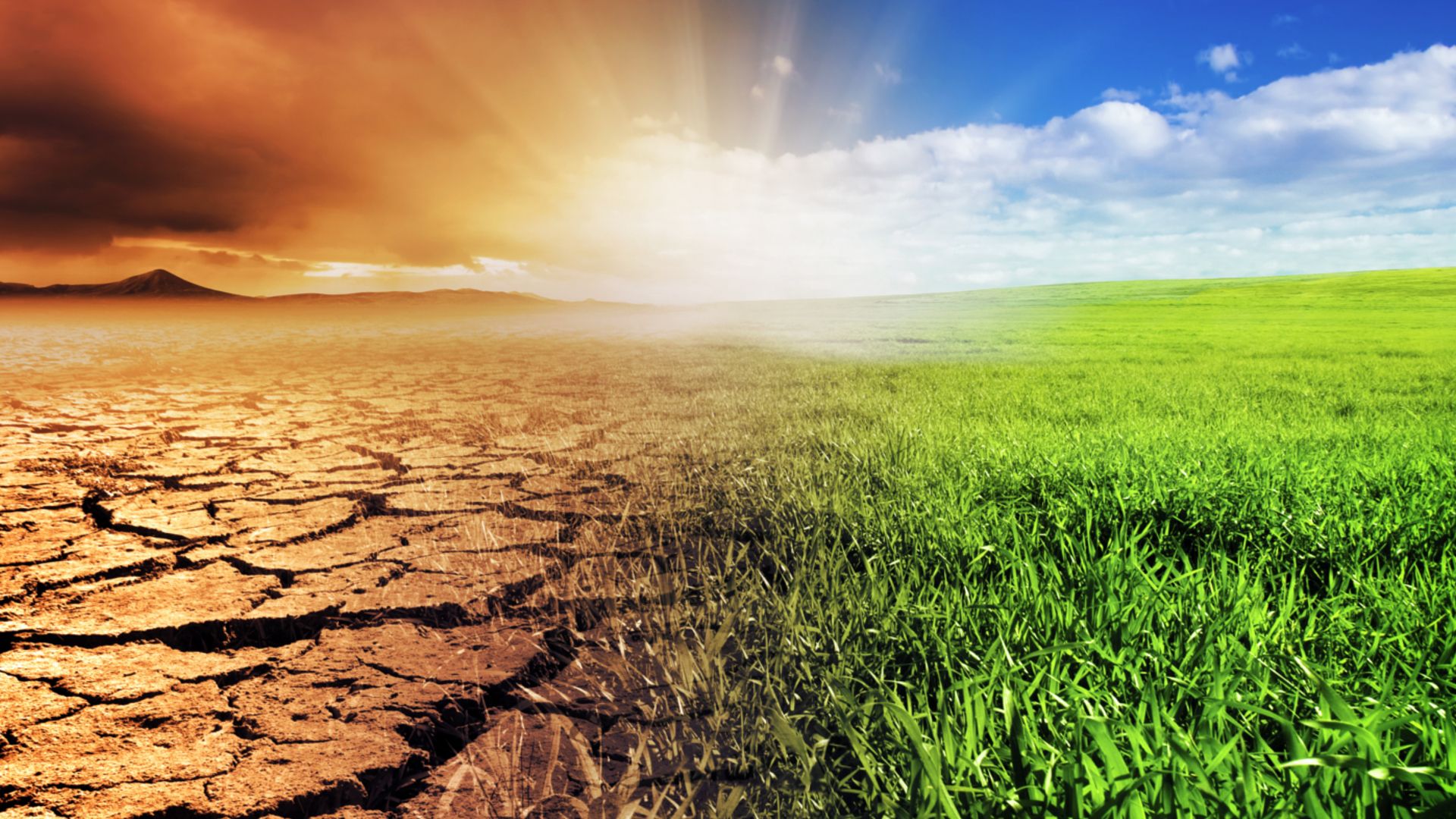 Grassland turning to dried mud