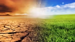 Grassland turning to dried mud