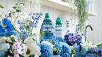 A bottle of Comfort Botanicals and Comfort Elixir – both in blue packaging – on a work surface surrounded by blue and white flowers.