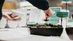 Food being served on counter