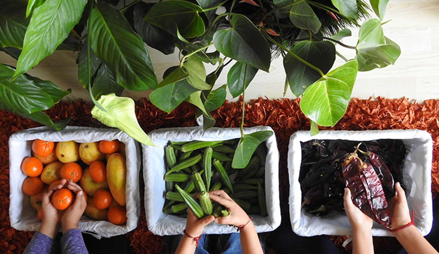 Three baskets in a row containing orange tangerines, green okra and brown cocoa beans