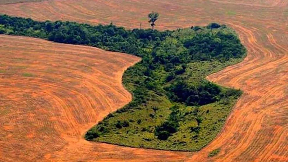 An aerial shot of the aftermath of deforestation