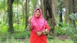 A smiling woman standing in a palm plantation, wearing a bright pink headscarf and a red outfit with patterned sleeves. She’s giving a thumbs-up gesture, surrounded by vibrant greenery and palm trees.