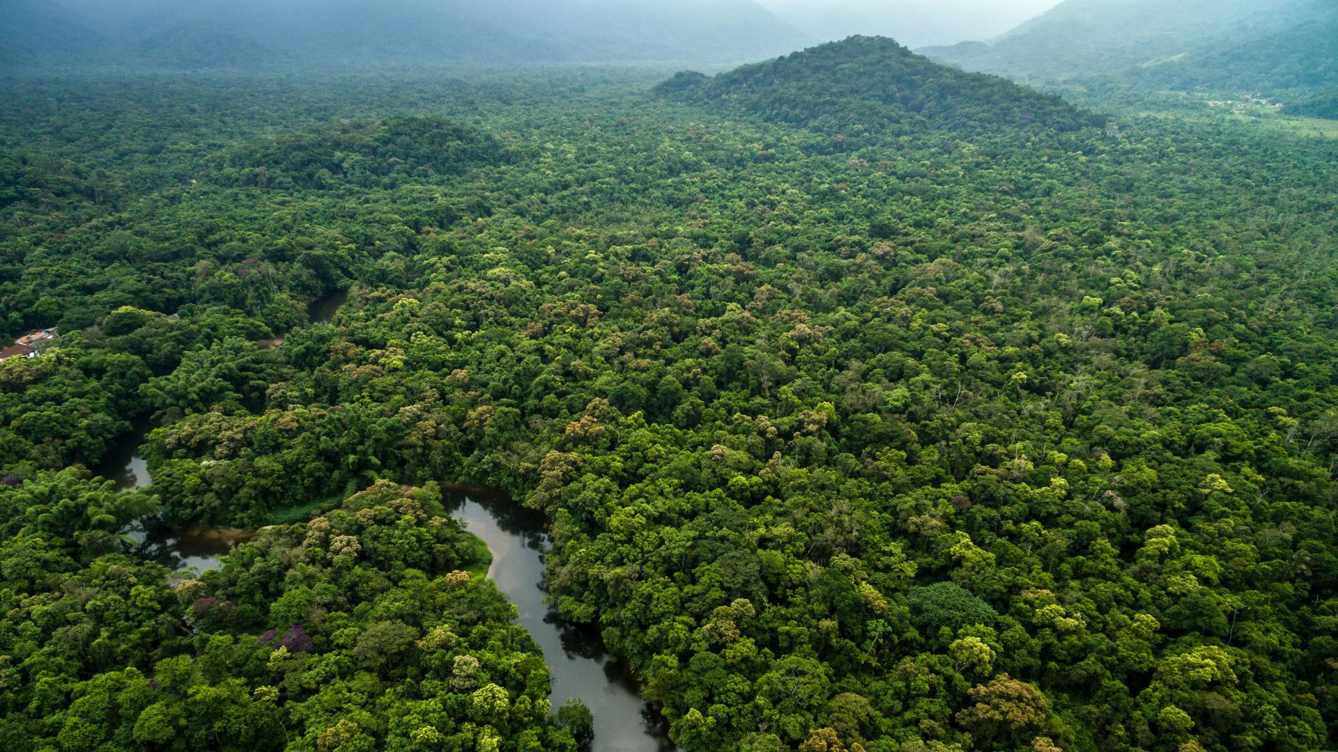 An aerial view of a dense green forest with a winding river cutting through the landscape, surrounded by lush vegetation and rolling hills.