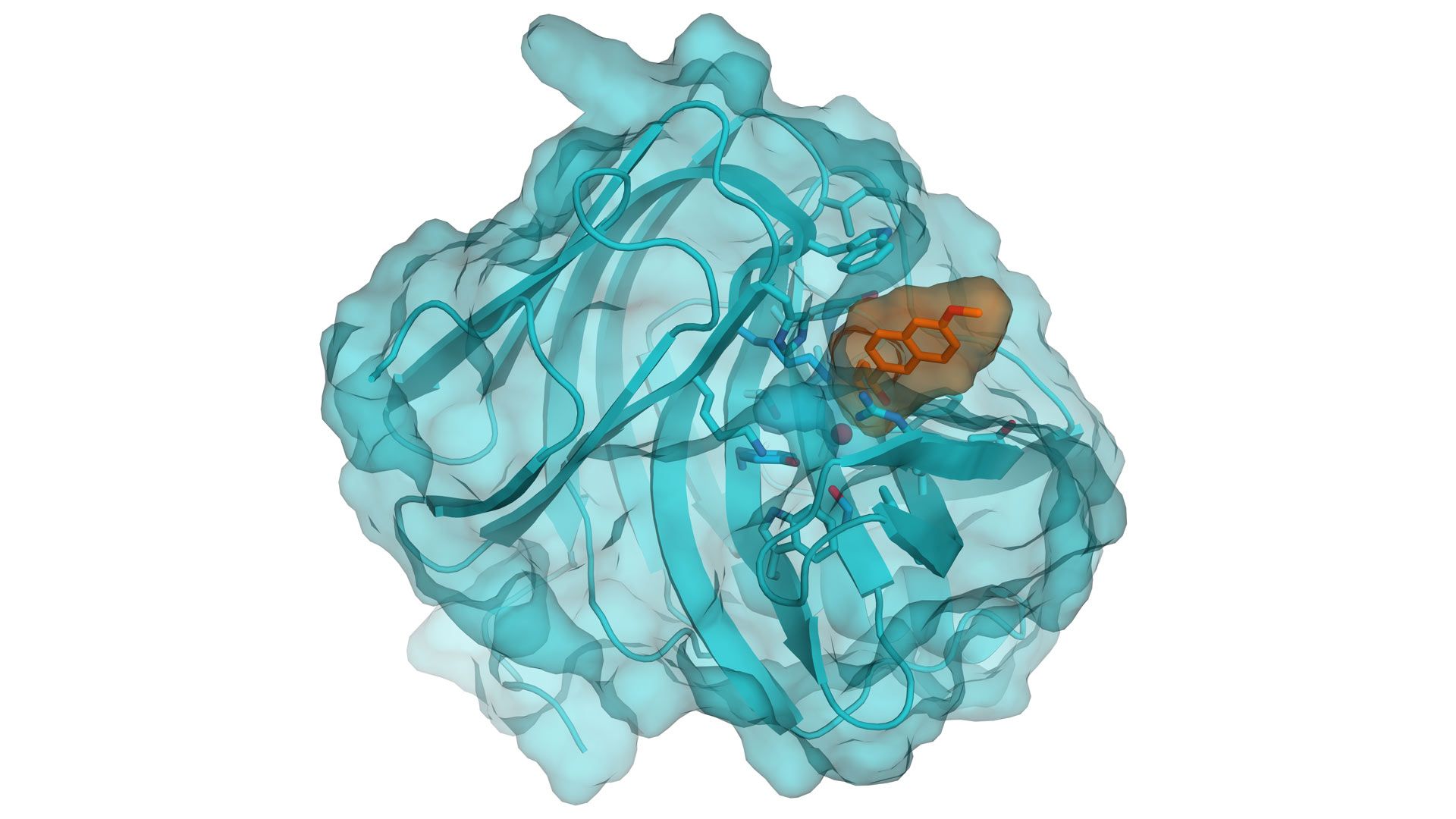 Biologia cyfrowa