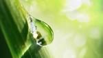 Image showcasing sustainable energy.