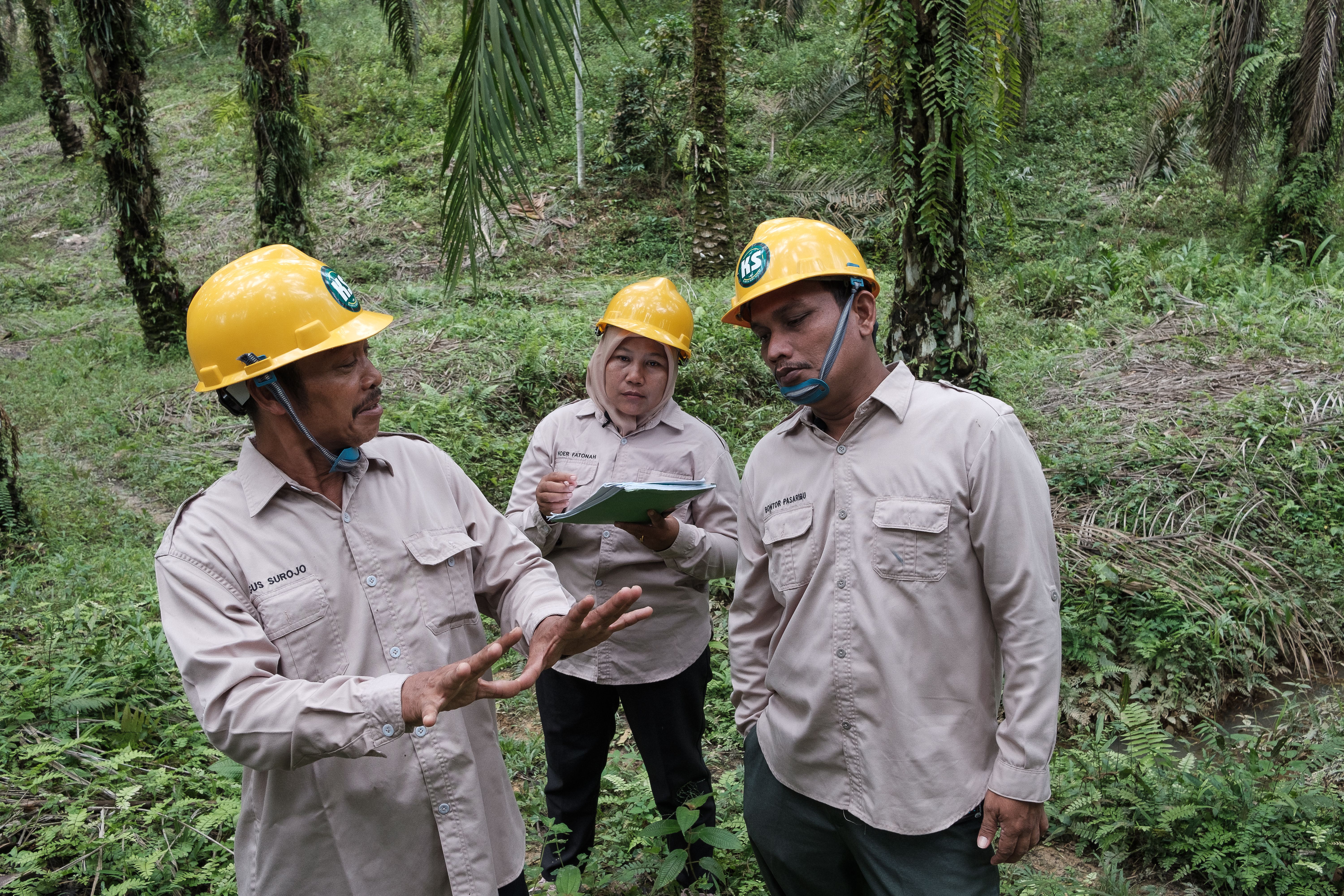 Three workers, one woman and two men, all in yellow helmets and brown shirts, stand talking. The woman is writing on a note pad and they are all surrounded by vegetation.