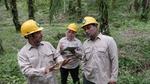 Three workers, one woman and two men, all in yellow helmets and brown shirts, stand talking. The woman is writing on a note pad and they are all surrounded by vegetation.