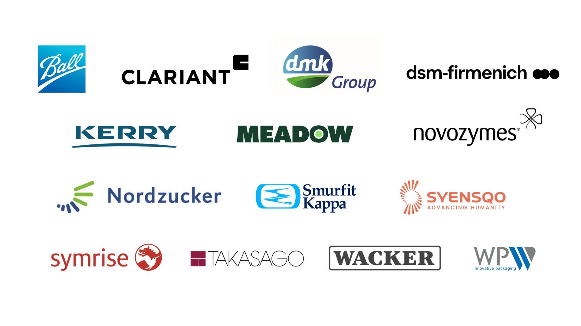 Climate Promise signatory logos