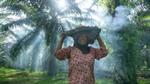 A smiling woman carrying a basket of harvested palm fruit on her head in a sunlit palm plantation.