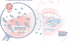 A diagram illustrating how the virus that causes Covid-19 is spread primarily through droplets of saliva