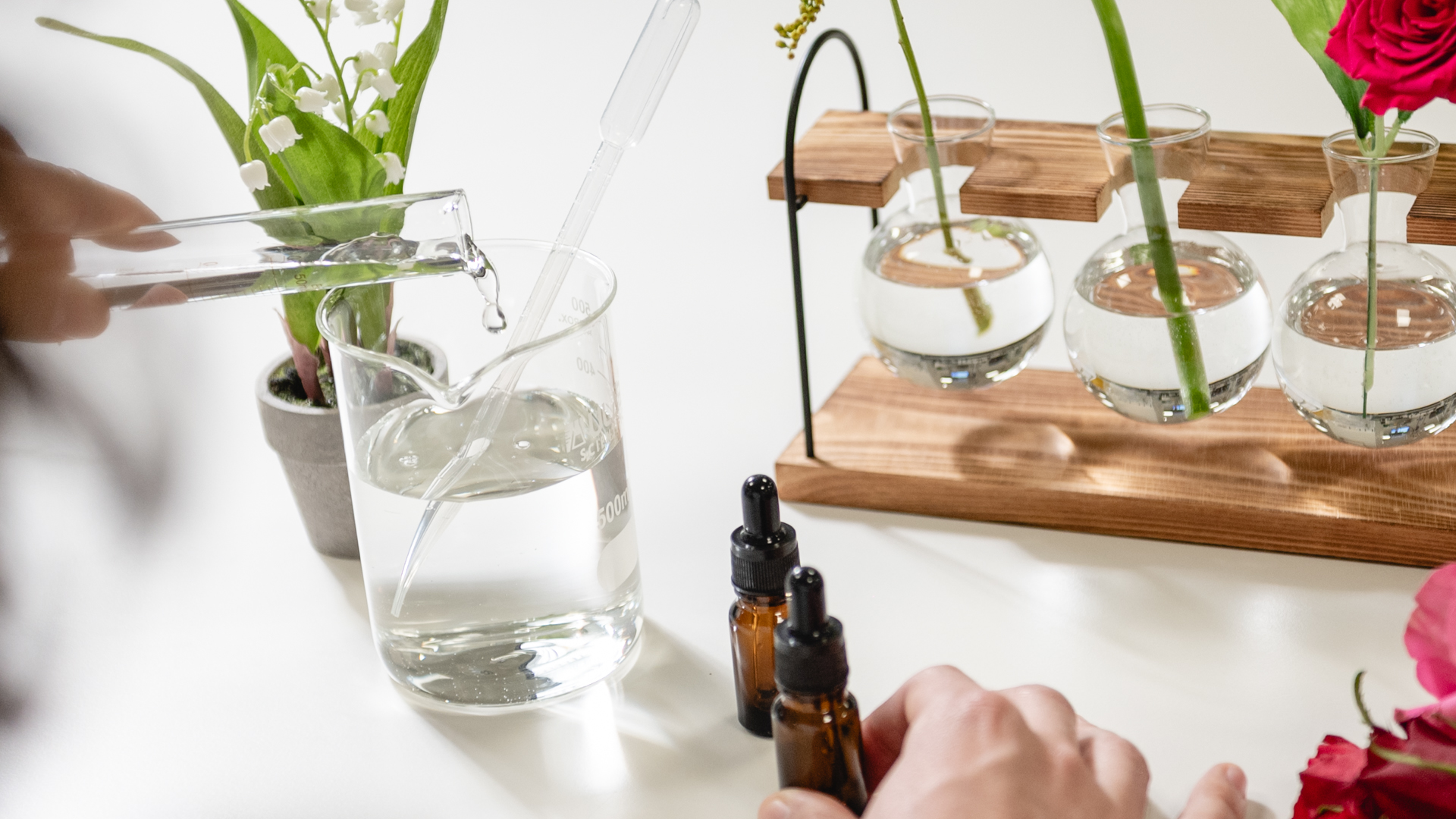 Image of three rounded test tubes in a wooden holder, containing a variety of flowers  including a red rose. A technician is pouring liquid from a test tube into a glass bottle.